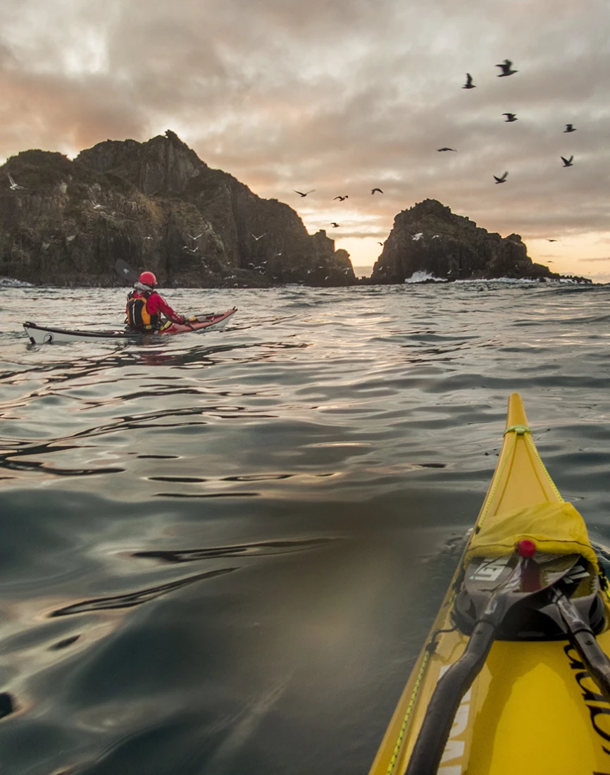 Kayak