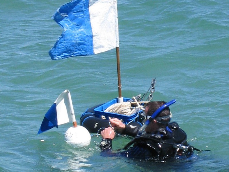 Dive flag