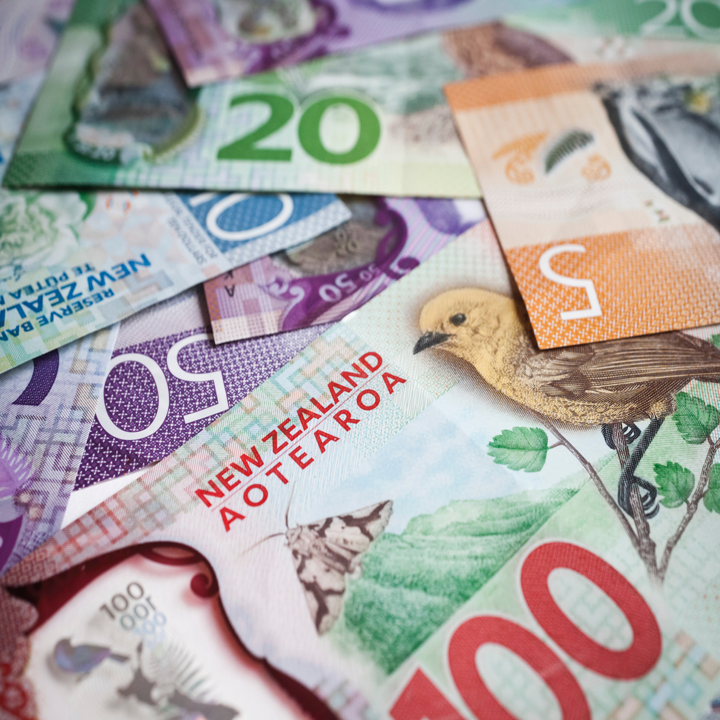 Notext 125 AUTOBUYER 1406 x 1406